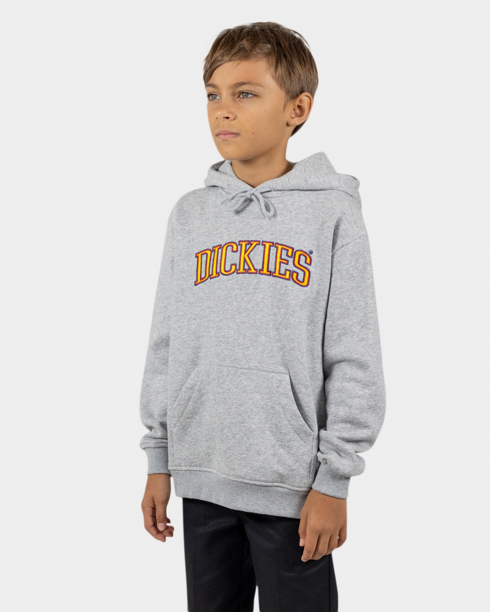 Dickies hoodie 2024 kids